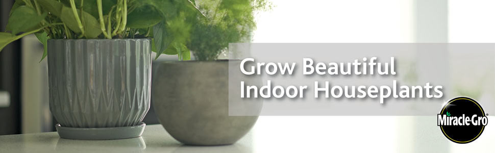 Grow Beautiful Indoor Houseplants