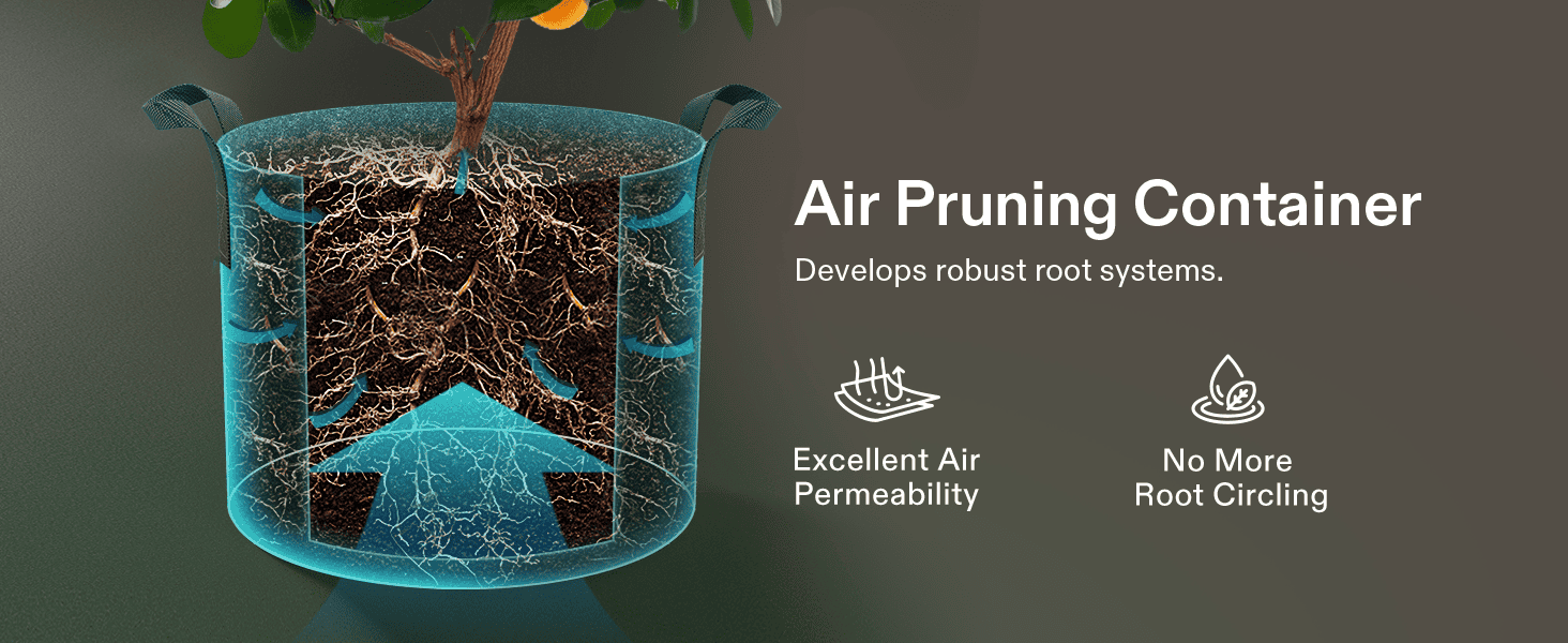 Air Pruning