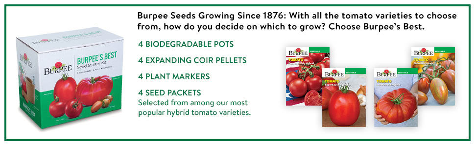 cherry tomatoes, indoor plants, prepper supplies, seeds for planting vegetables and fruits