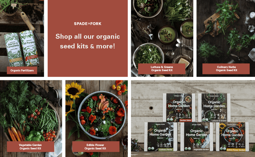 Shop all our organic seed kits and more!