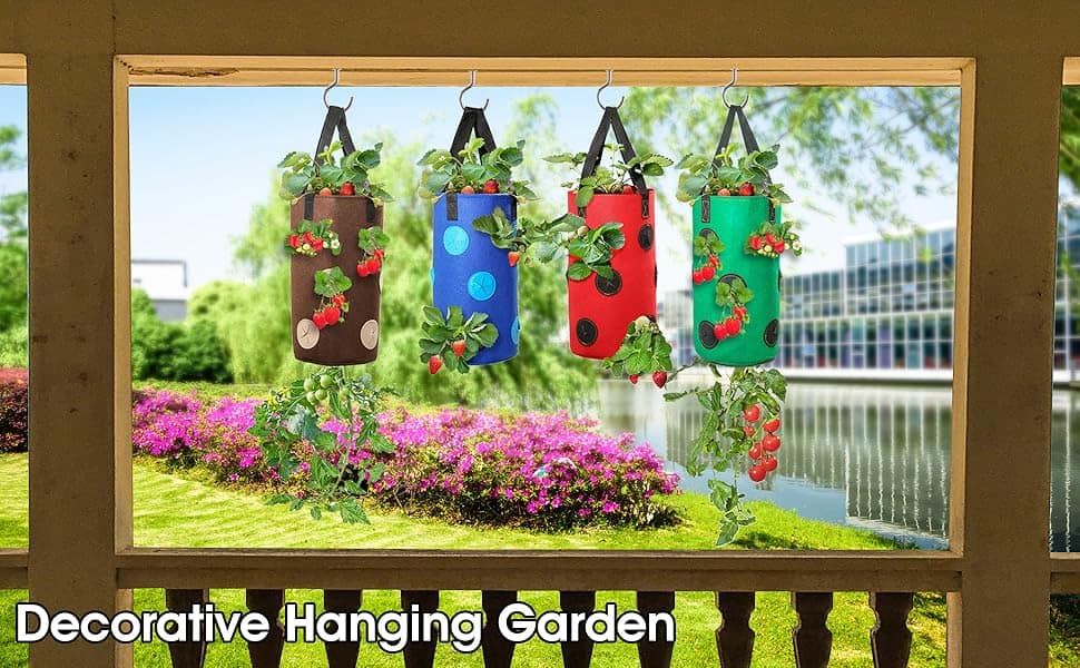 hanging garden