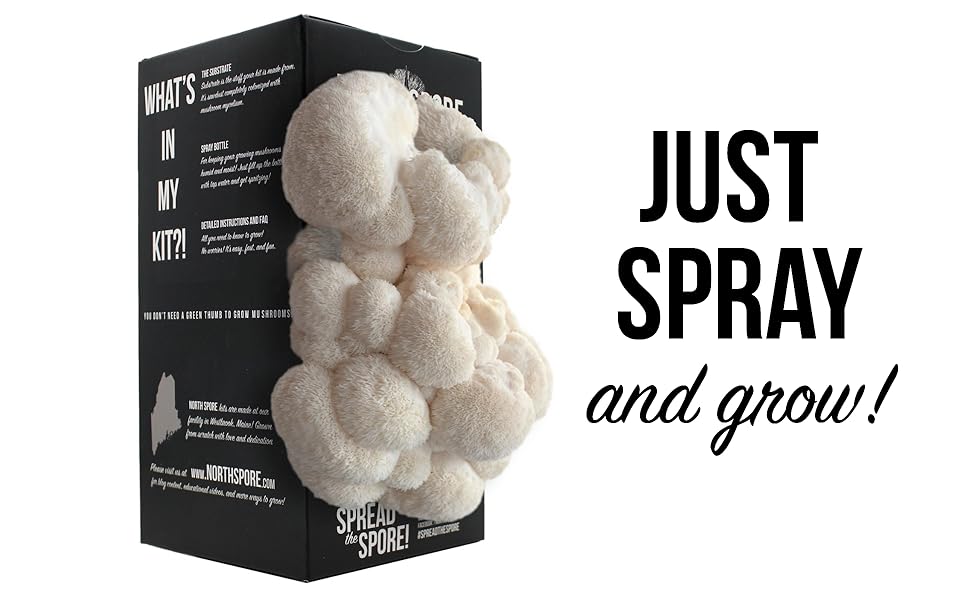 lion's mane spray and grow kit - just spray and grow!