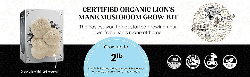 Hodgins Harvest Organic Lions Mane Mushroom Grow Kits