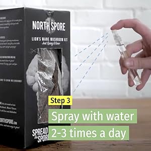 step 3 - spray with water 2-3 times a day