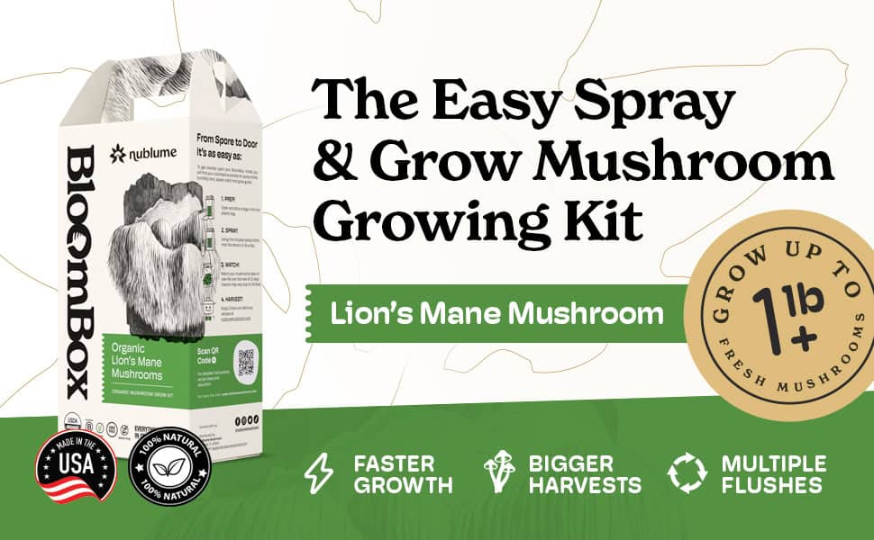 BloomBox Easy Spray & Grow Mushroom Growing Kit