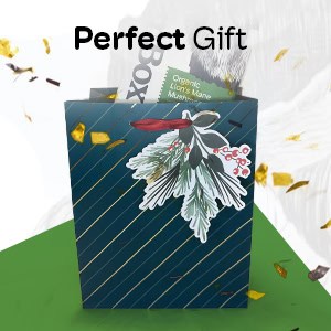 Gift bag for christmas or birthday or holidays with Lions Mane BloomBox inside