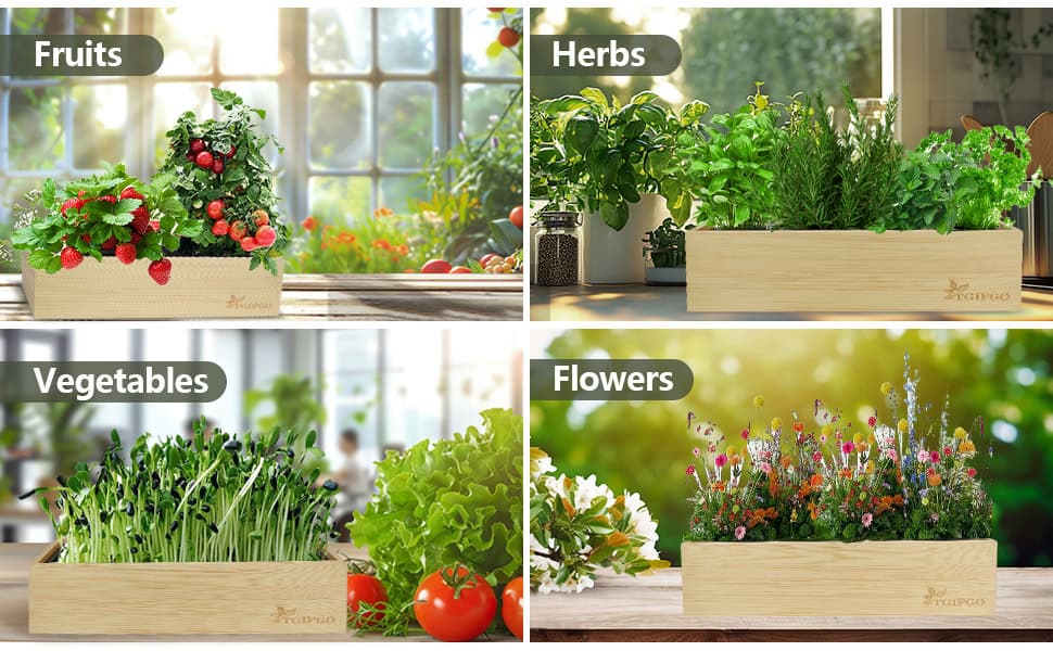 indoor grow kit for fruits herbs vegetables flowers