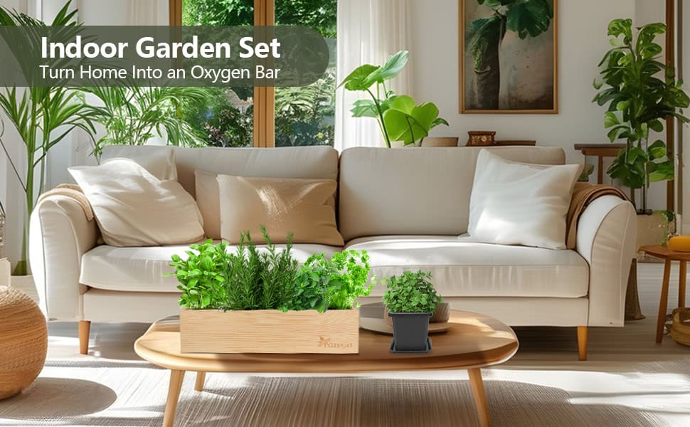 planters for indoor plants