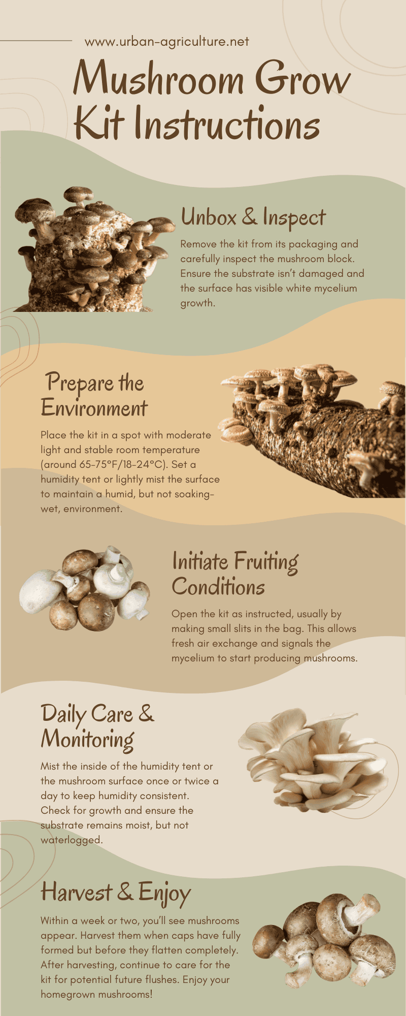 Mushroom Grow kit instructions